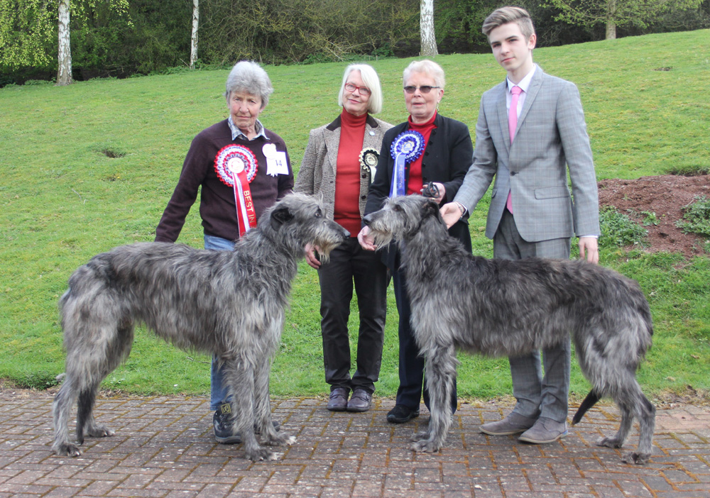 BIS & RBIS Breed Show 2016